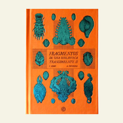 Fragmentos de una biblioteca transparente | Figueroa Romo