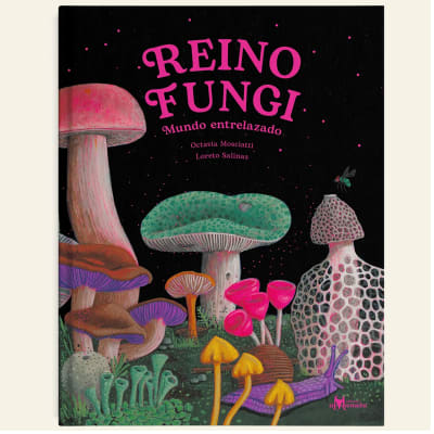 Reino Fungi | Octavia Mosciatti y Loreto Salinas