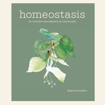 Homeostasis | Felipe Monsalve 4ta Edición1