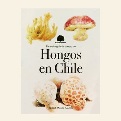 Pequeña guía de campo hongos en Chile | Robert Muñoz Alocilla1