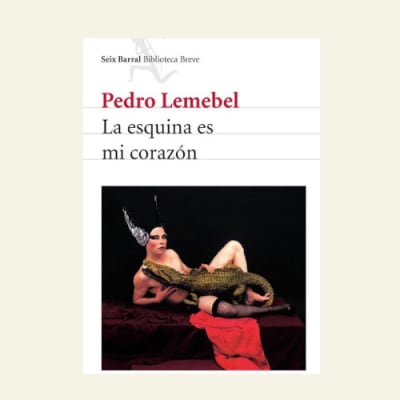La esquina es mi corazon | Pedro Lemebel1
