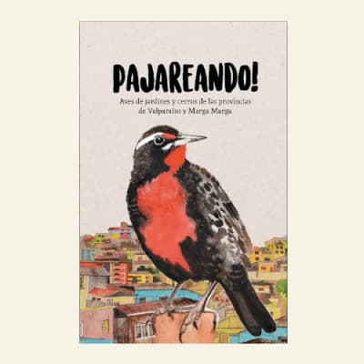 Pajareando | Claudia Ortiz (2da Edición)1