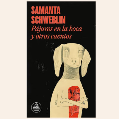Pájaros en la boca y otros cuentos | Samanta Schweblin