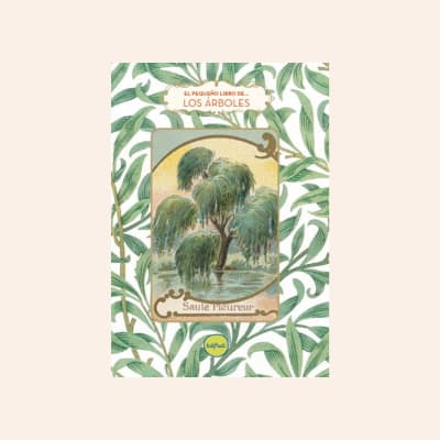 El pequeño libro de los árboles | Dominique Du1