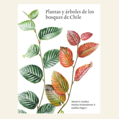 Plantas y árboles de los bosques de Chile | Martin F. Gardner1