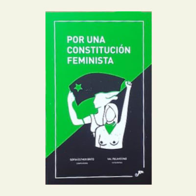 Por una constitucion feminista | Sofia Esther Brito (Comp.)