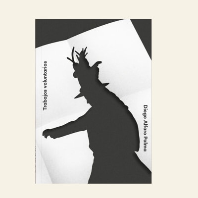 Trabajos voluntarios | Diego Alfaro (C)1