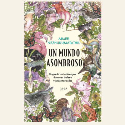 Un mundo asombroso | Aimee Nezhukumatahil1