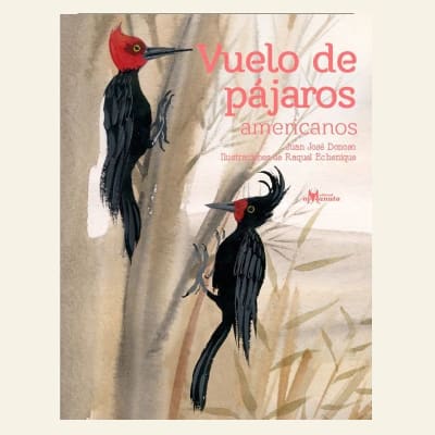 Vuelo de pájaros americanos | Juan José Donoso1