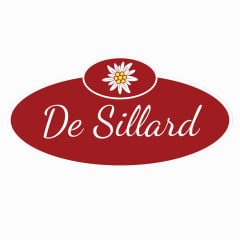 Logo de DeSillard