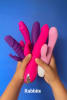 rabbits