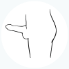 pene