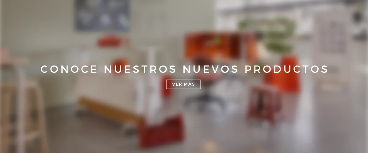collection novedades