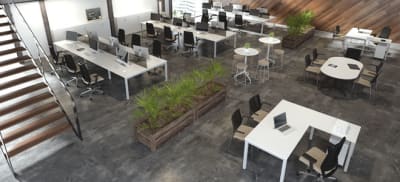 Zama Bench