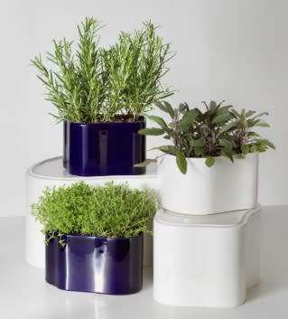 Macetero Aalto Planter Shape B
