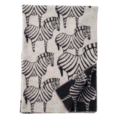 Manta Zebra