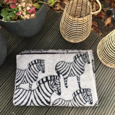 Manta Zebra