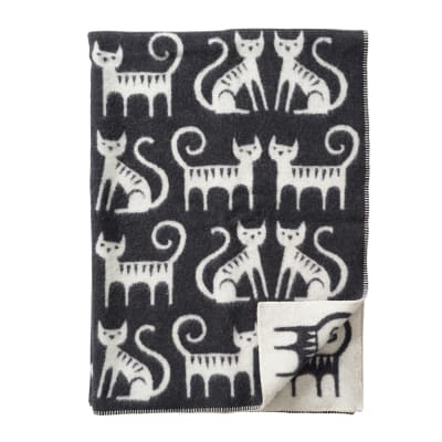 Manta Cat Couple1
