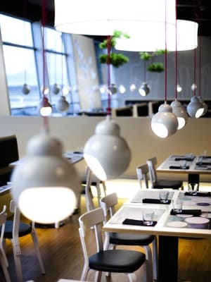 Lampara colgante A338 Bilberry