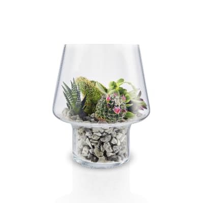 Macetero de Cristal para Suculenta1