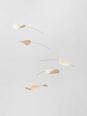 Movil Drifting Clouds Large Nature