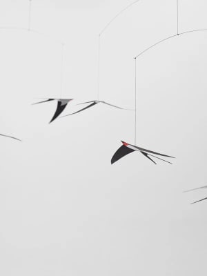 Móvil Flying Swallows 5