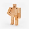 Cubebot Medium1