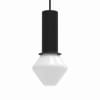 Pendant Lamp TW0031