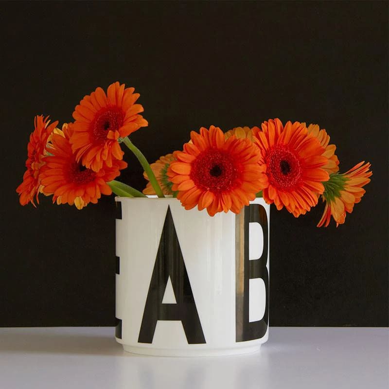 Contenedor Multiuso4