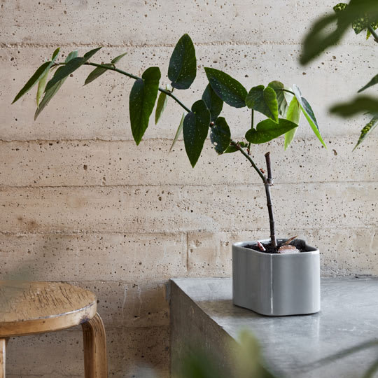 Macetero Aalto Planter Shape A1