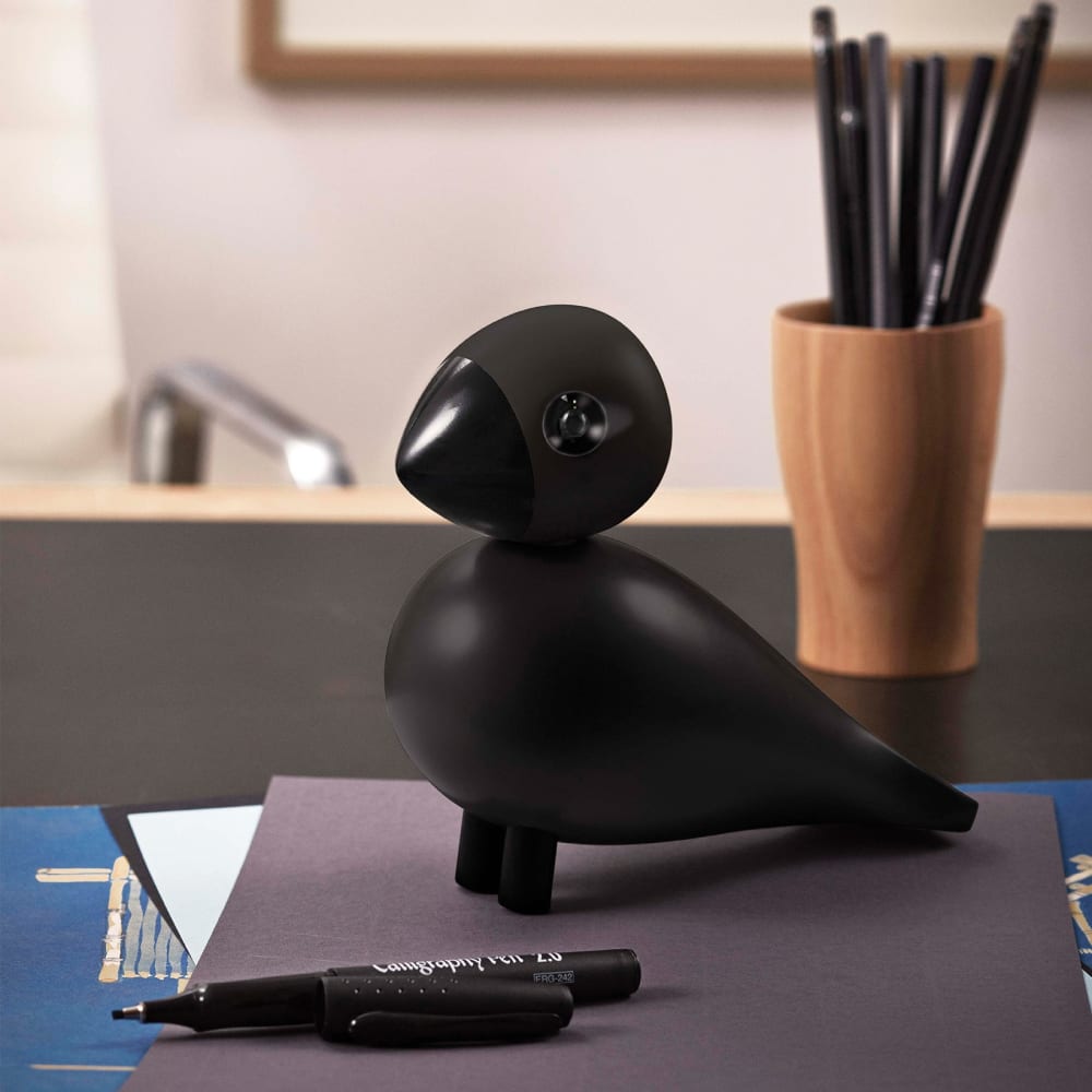 Pájaro Cantor Ravn Grande4