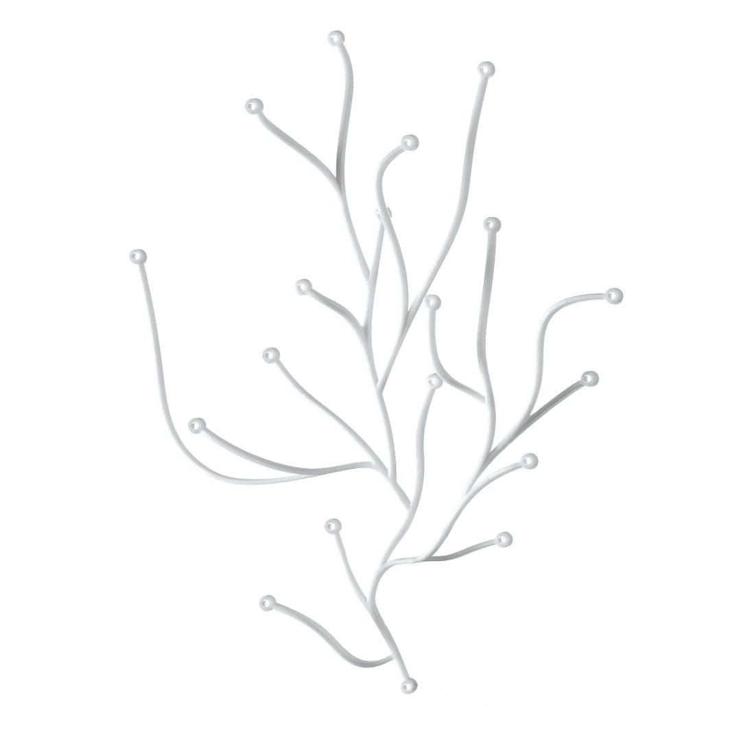 Algue5