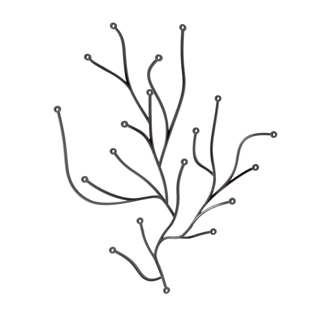 Algue7