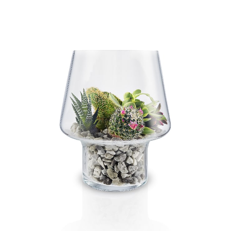 Macetero de Cristal para Suculenta 0