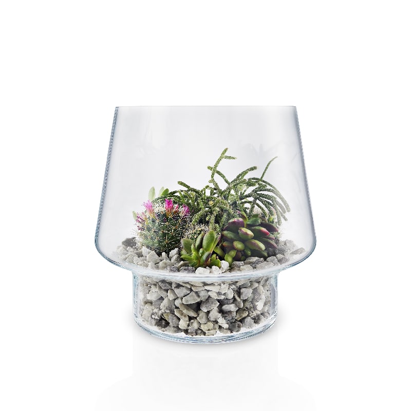 Macetero de Cristal para Suculenta3