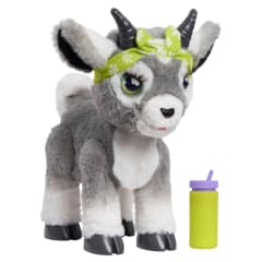 Mascota Daysi The Yoga Goat