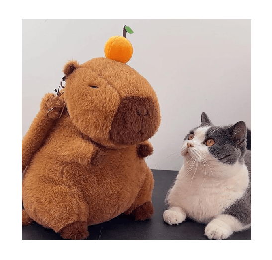 Mochila Peluche Capibara5