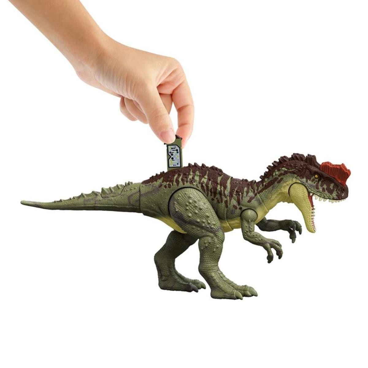Figura DInosaurio Yangchuanosaurus Acción Masiva5