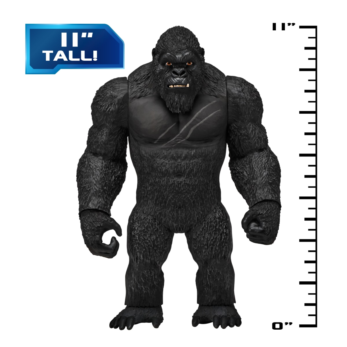 Giant Kong (XL)4