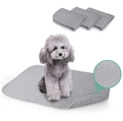 Empapadores para Perros Pequeños1