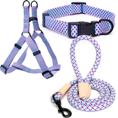 Set completo Arnés + collar + cuerda colores Large1