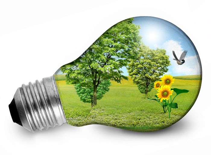 Pack 10 ampolletas LED 10 W CALIDAS Certificadas1