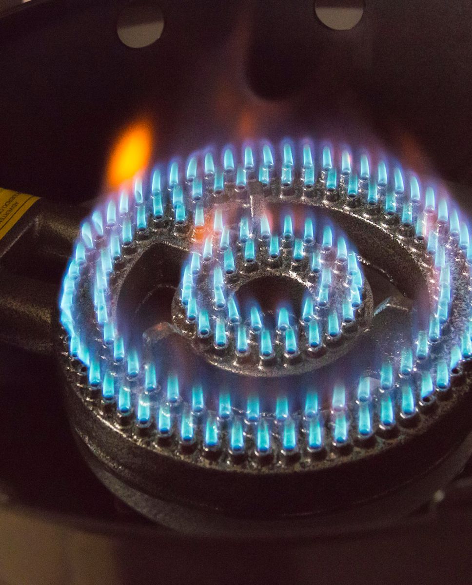 UrsusTrotter Disco a Gas Gourmet4