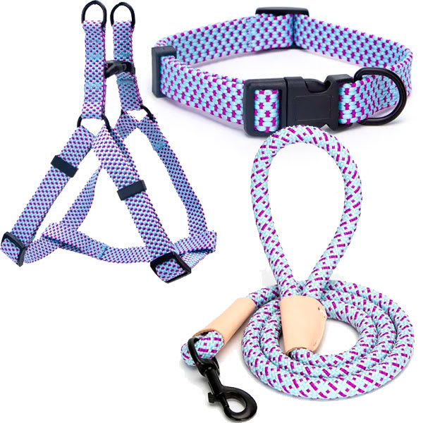 Set completo Arnés + collar + cuerda colores Small1
