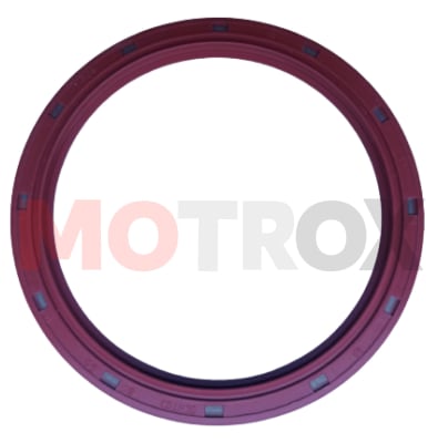 RETEN DE CIGÜEÑAL POSTERIOR1