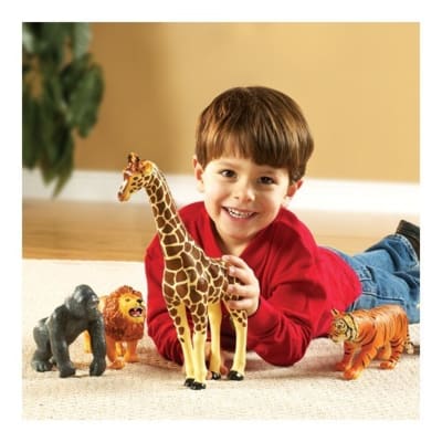 Animales de la Selva1