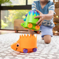 Hiding Hedgehogs
