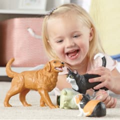 Animales y Mascotas