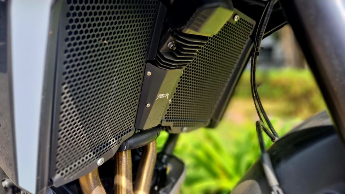 TRIUMPH TIGER 900 GT PRO 202517