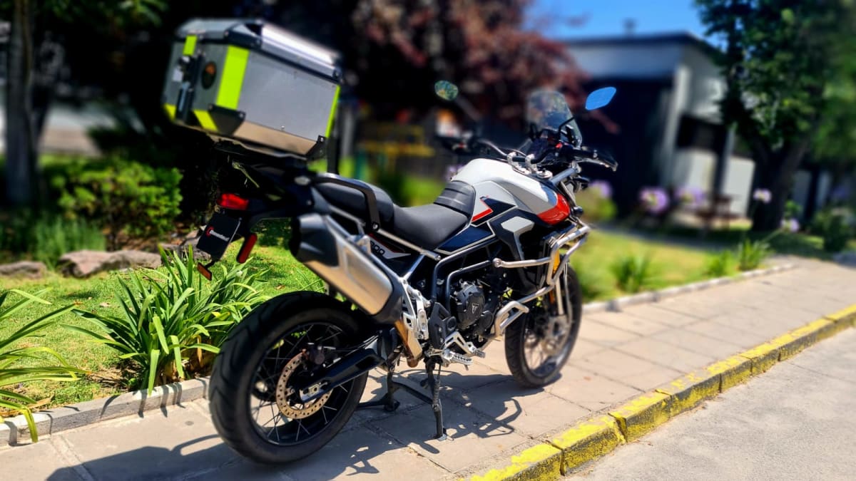 TRIUMPH TIGER 900 RALLY PRO 20253